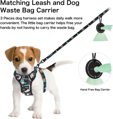 Vista 4 de Petmolico Arnés para perros pequeños, bonito arnés con dos clips para correa y mango suave, chaleco reflectante para cachorros fácil de caminar