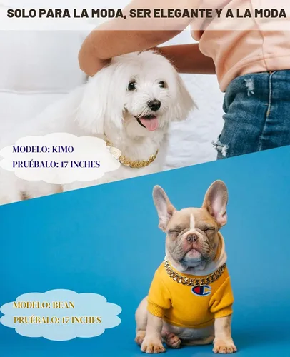 Vista 2 de Collar de perro con cadena dorada de 3/4 de ancho, collar de perro de eslabones cubanos de moda, lindo collar de mascota para perros pequeños