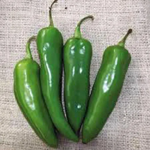 Vista 3 de Pimienta, Anaheim, reliquia, más de 25 semillas, ligeramente picante, fresco o seco