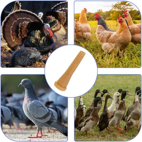 Vista 6 de Tiiyee - Dedos de desplumador de pollo, 50 unidades de goma para depilación