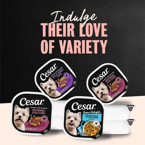 Vista 7 de Cesar Home Delights - Alimento húmedo para perros, pollo y carne de res, 3.5 onzas, 12 unidades, paquete de 2