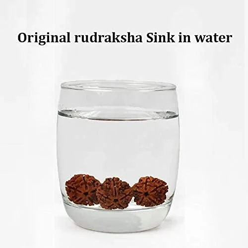 Vista 5 de Wonder Care Rudraksha Mala certificado de 5 caras (Panchmukhi) Auténticas cuentas de Rudraksha auténticas, ornamento, rosario, japa mala, collar