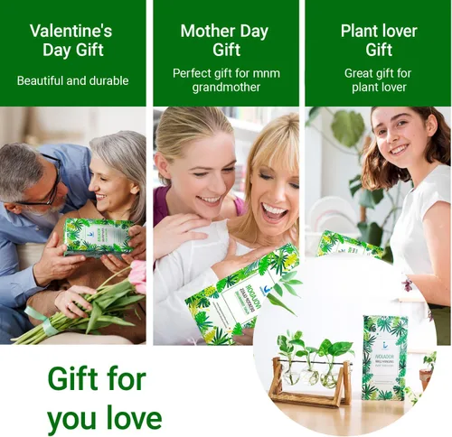 Vista 6 de Estación de propagación, terrario de plantas, regalos para amantes de las plantas para mujeres, soporte de corte de plantas, decoración del hogar