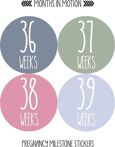 Vista 8 de Adhesivo semanal para el crecimiento del embarazo, de semana a semana, embarazada, esperando fotos, recuerdo de maternidad, panza de bebé