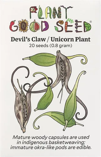Vista 10 de Plant Good Seed Semillas orgánicas Red Devil's Claw/Doubleclaw Seeds: 20