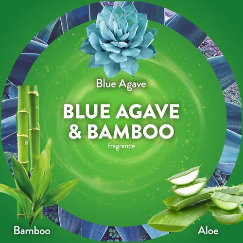 Vista 4 de Air Wick - Repuesto de aceite aromático para enchufar, ambientador, aceites esenciales, 10 unidades, agave azul y bambú