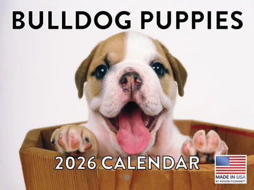 Vista 13 de Calendario mensual de pared Airedale Terrier Dog 2027 rojo (Airedale Terrier)