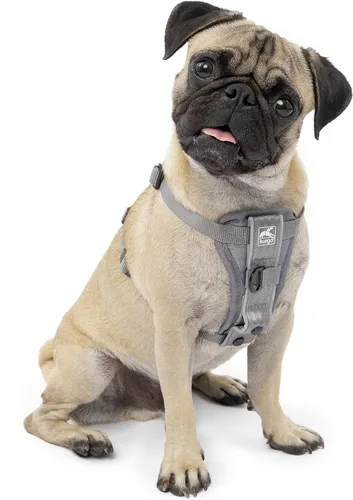 Vista 13 de Kurgo Tru-Fit - Arnés inteligente para caminar para perros, ajuste cómodo, arnés ajustable, reflectante para mascotas, liberación rápida