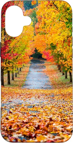 Vista 22 de iPhone 11 Otoño Hojas - Hermoso estuche de arboles