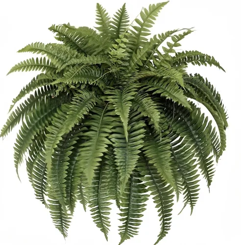 Vista 6 de Helechos artificiales colgantes de 27 pulgadas, helechos falsos de Boston grandes, 25 ramas, planta verde seda artificial para decoración al aire
