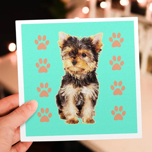 Vista 7 de 3dRose Tarjetas de felicitación - Taza de té Yorkie - Paquete de 6 - Perros