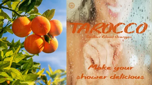 Vista 2 de Tarocco Champú Hidratante 16.1 fl oz/16 fl oz x 2 con Naranjas Sangrientas Sicilianas de Baronessa Cali