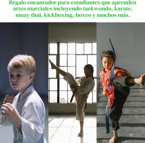 Vista 3 de 12 piezas de tablas de rotura para Taekwondo y Karate, tablas de artes marciales de Karate, tablas de madera profesionales para la rotura