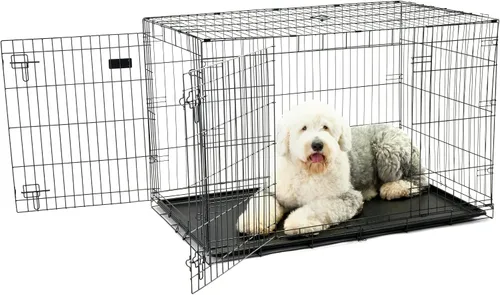 Vista 17 de Jaula de perro Carlson segura y compacta de doble puerta de metal, mediana con panel divisor