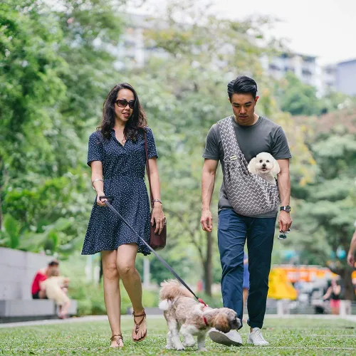 Vista 3 de FDJASGY Bolsa de mano reversible para mascotas con cinturón de seguridad de bolsillo, manos libres, para viajes al aire libre (rayas grises)
