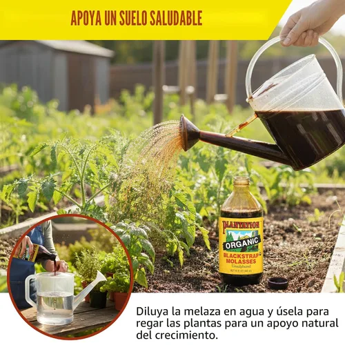 Vista 8 de Melaza negra orgánica de Plantation – 15 oz
