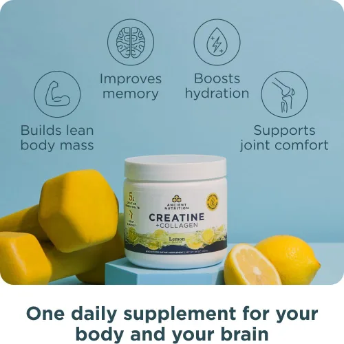 Vista 3 de Ancient Nutrition Creatina + Colágeno – Fuerza muscular, masa corporal magra, comodidad articular y apoyo cognitivo – Incluye 5g de monohidrato