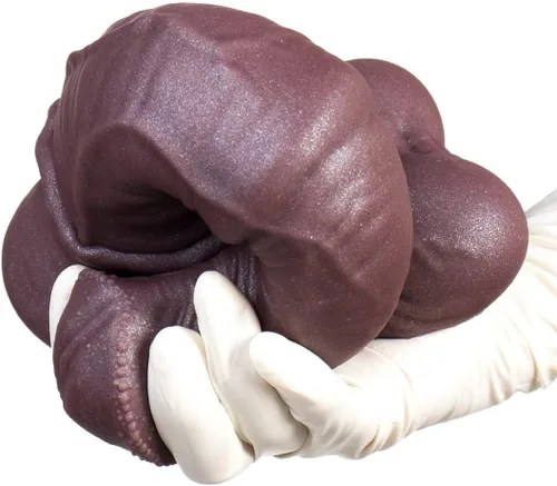Vista 3 de Consolador realista inspirado en un caballo, textura y diseño realistas, silicona segura para el cuerpo, base de ventosa para diversión manos