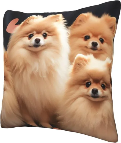 Vista 5 de Fundas de almohada con estampado de cachorros de Pomeranians de 16 x 16 pulgadas, funda de cojín suave y acogedora funda de almohada decorativa