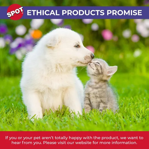 Vista 7 de SPOT Gres Cerámico - Cuenco para Mascotas para Gatos, Gatitos y Mini Perros, Cuenco de Cerámica Clásico Resistente Antideslizante para Alimentos