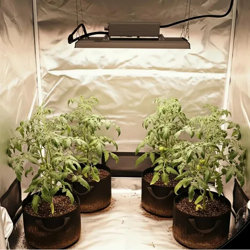 Vista 9 de MA1200 Luz de Crecimiento de Espectro Completo, Panel de Luz de Planta Regulable de 120 Vatios, Luz LED de Crecimiento para Inicio de Semillas