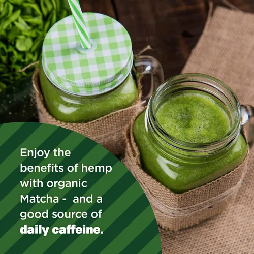 Vista 4 de Manitoba Harvest Polvo orgánico de cáñamo y matcha, 5.5 onzas, energía, 0.18 oz de proteína, 0.18 oz de fibra por porción, proteína matcha, vegano