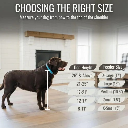 Vista 6 de GTW Soporte de Cuenco Elevado Personalizado para Perros Grandes, Medianos, Pequeños y Extra Pequeños - Cuencos de Acero Inoxidable para Comida