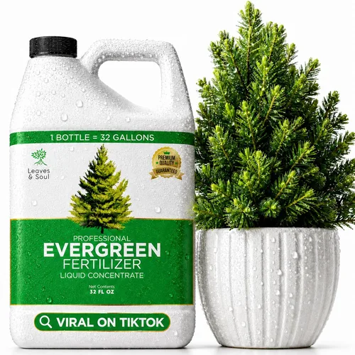 Vista 17 de Leaves & Soul Evergreen Tree Fertilizer, 6-4-6 Liquid Evergreen Food 8 oz Árbol de hoja perenne