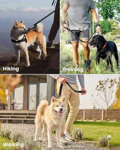 Vista 6 de Correa de cuerda elástica para perros Outdoormaster; para mayor seguridad y comodidad de su perro., M