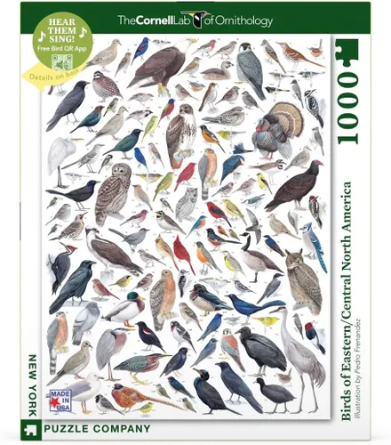 Vista 3 de New York Puzzle Company - Cornell Lab Birds of Eastern/Central North America - Rompecabezas de 1000 piezas para noches de juego familiares por Pedro