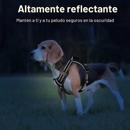 Vista 6 de PoyPet - Arnés para perro sin tirones, pechera reflectante con clip frontal para mascotas con asa vertical acolchada, 3 enganches para la correa