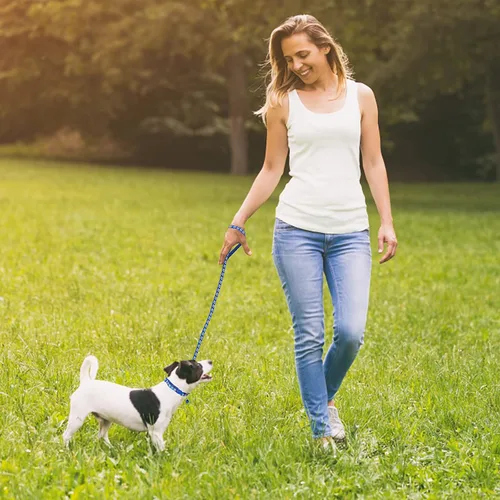 Vista 6 de Molain Collar ajustable para gatos y perros con correa, cuerda de entrenamiento duradera de liberación rápida, collar de hebilla para cachorros