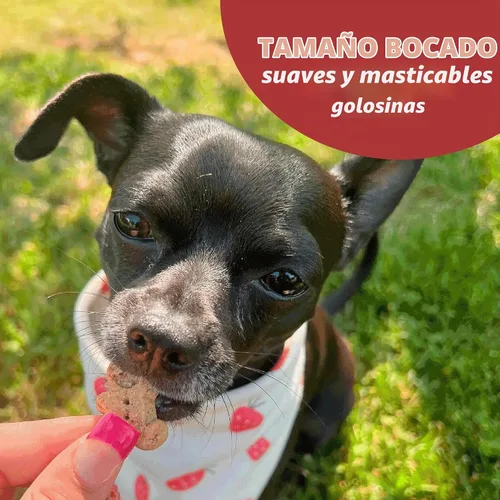 Vista 7 de Buddy Biscuit Softies - Bolsa de 5 onzas, sin granos, suave y masticable, golosinas naturales con sabor a carne a la parrilla para perros, horneadas