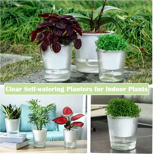 Vista 7 de Pack de 6 Macetas de 11.4 cm de Riego Automático y Transparentes para Plantas de Interior, Macetas de Plástico con Mecha para Orquídeas Medianas
