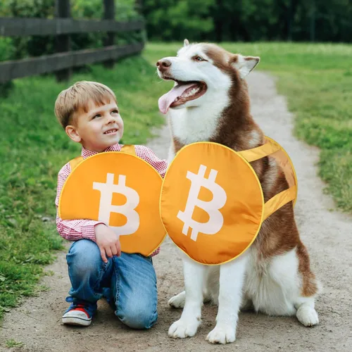 Vista 2 de TOY Life Funny Halloween Costumes Men Teen Boys Bitcoin Cosplay Outfits for Kids Adults Halloween Party Dress Up