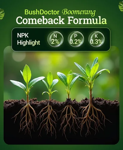 Vista 2 de Fertilizante Fox Farm Bushdoctor Boomerang - para la recuperación rápida de plantas estresadas, salud de raíces, nutrición solubilizada - Perfecto