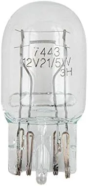 Vista 2 de GG Grand General 83985#7440 Bombillas transparentes, 12 V
