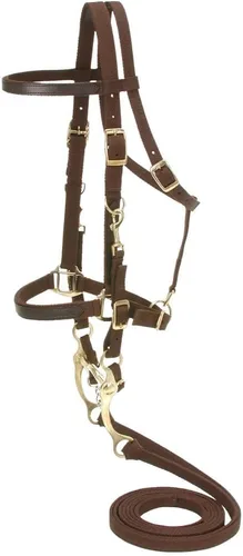 Vista 2 de Australian Outrider Nylon Halter Bridle con riendas