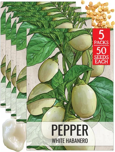 Vista 73 de Seed Needs - Semillas de pimiento arcoíris para plantar verduras, 1 paquete