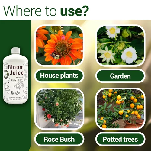 Vista 7 de Elm Dirt 's Bloom Juice para todas las plantas con flores (botella de 1-32 onzas)