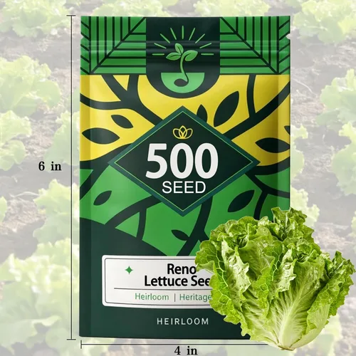 Vista 6 de 5000 semillas de lechuga Buttercrunch para plantar, semillas de vegetales de temporada fría sin OMG para cultivo hidropónico y suelo, lechuga