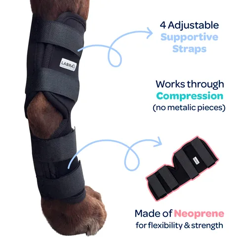 Vista 2 de Labra Vendaje de Compresión para Articulación del Corvejón de Pata Trasera de Perro - Soporte Ortopédico para Patas Traseras Débiles, Desgarro
