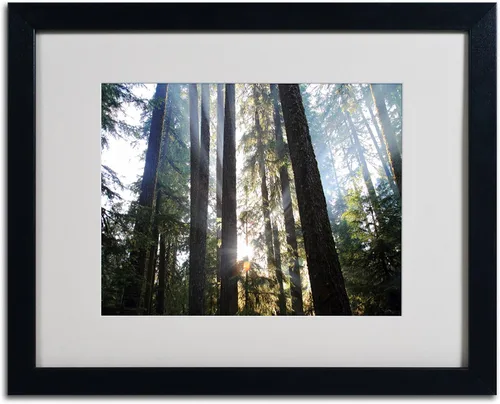 Vista 2 de Trademark Fine Art Sunrays by Pierre Leclerc - Lienzo decorativo para pared, marco negro, 16 x 20 pulgadas