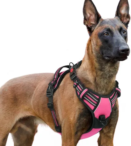 Vista 25 de Rabbitgoo - Arnés para perro de tamaño pequeño, arnés para mascotas sin tirones con 3 hebillas, chaleco acolchado suave ajustable con mango