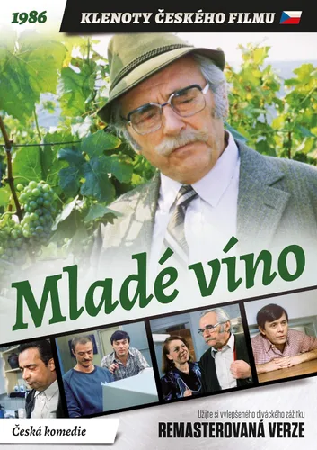Vista 2 de Young WineMlade vino Remastered DVD DVD