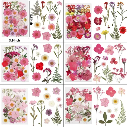 Vista 3 de 412 piezas de flores secas para manualidades, flores secas de naturaleza