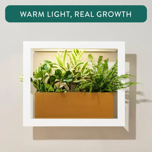 Vista 5 de Modern Sprout Smart Growframe - Soporte para plantas montado en la pared con luz LED de cultivo - Control inteligente por aplicación - Marco