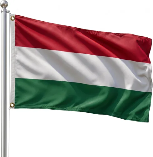 Vista 100 de DMSE - Bandera nacional beninesa beninesa de la República de África Occidental, 2 x 3 pies, 100 % poliéster, 100 % poliéster, resistente a los rayos