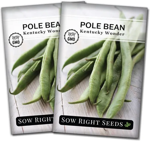 Vista 7 de Sow Right Seeds - Semillas de frijol Wonder Pole de Kentucky para plantar - Paquete de reliquia sin OMG con instrucciones para plantar un huerto