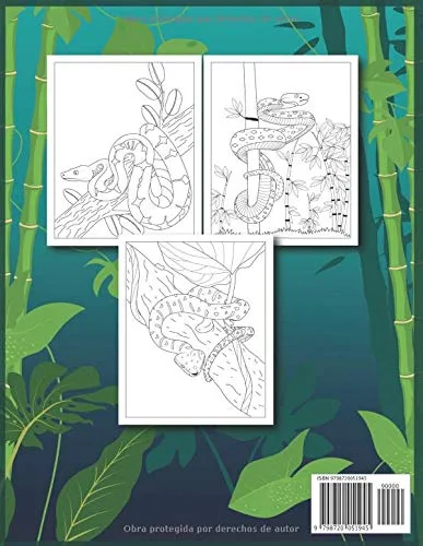 Vista 2 de Serpiente Libro de Colorear 30 Páginas Para Colorear Serpiente para Niños (Spanish Edition)